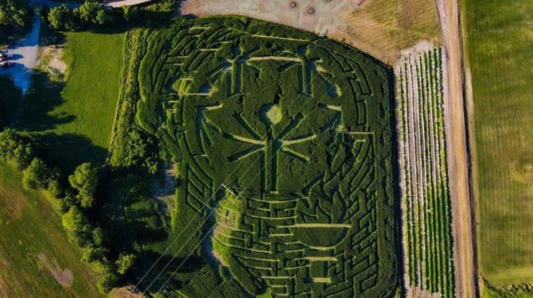 An aerial photo of a corn maze with the Special Olympics globe logo and a torch