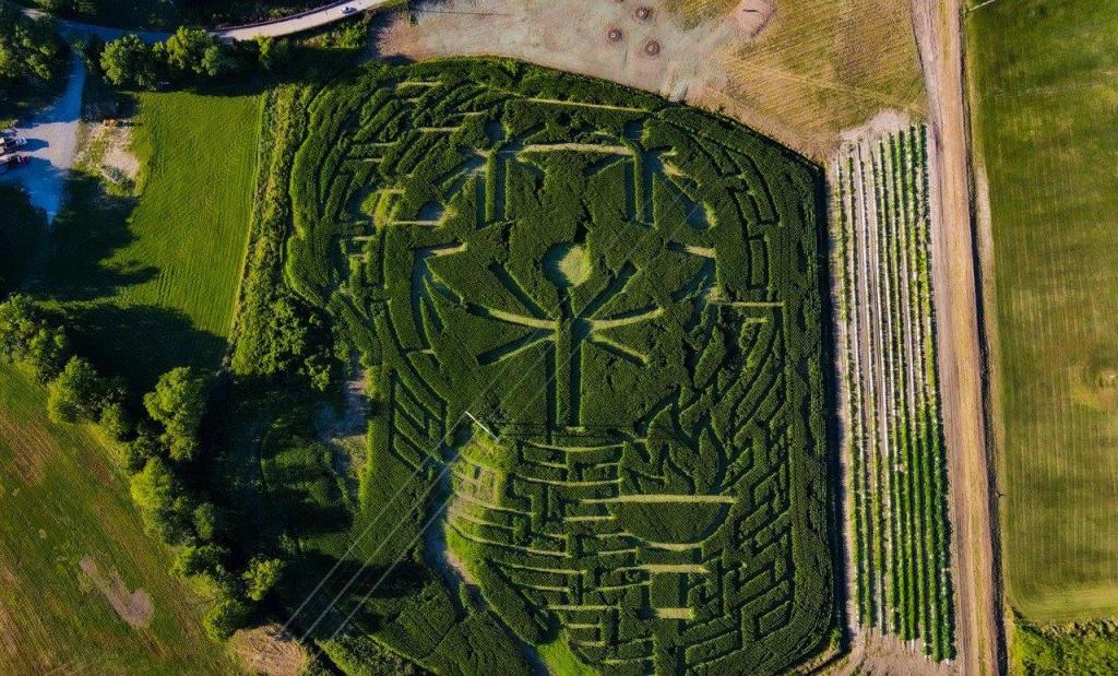 An aerial photo of a corn maze with the Special Olympics globe logo and a torch