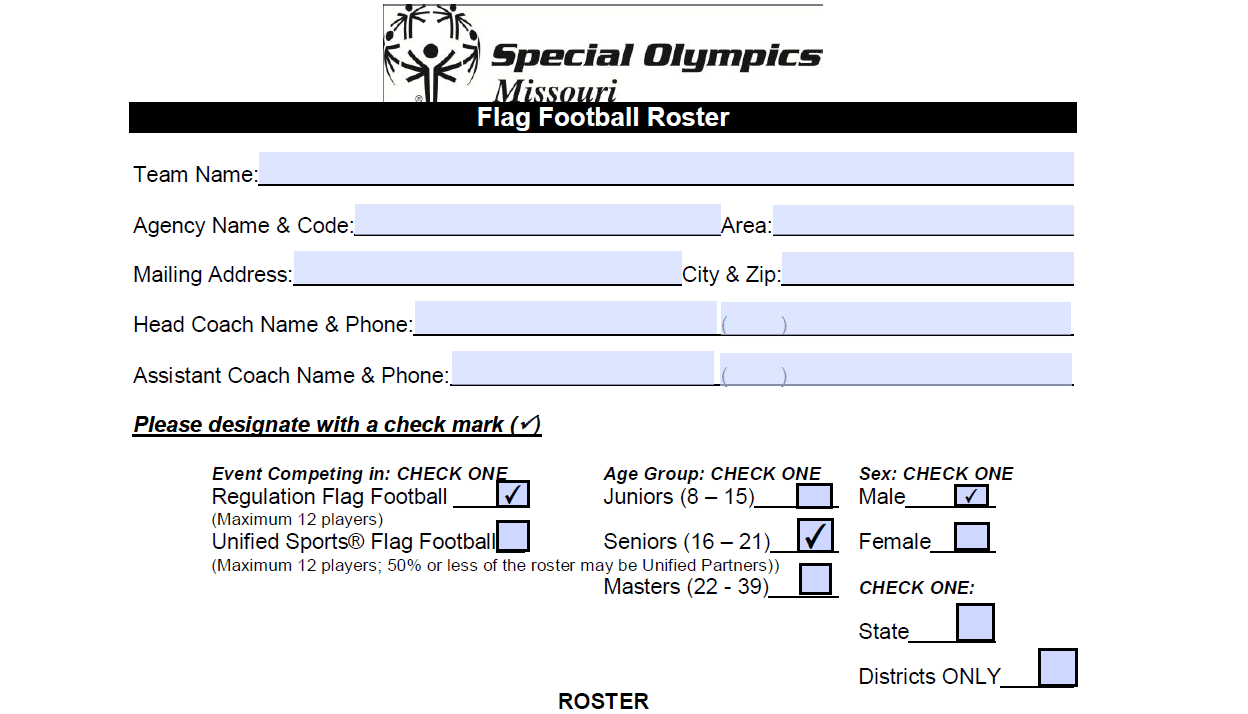 Flag Football Roster Form