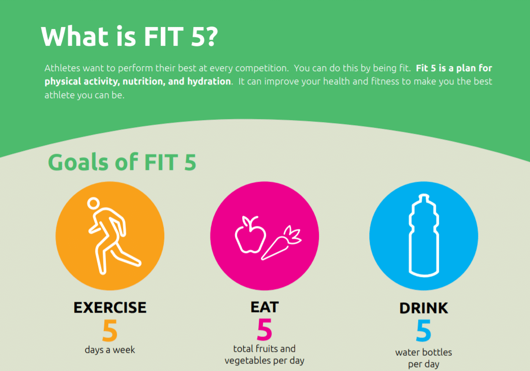 Fit 5 Overview