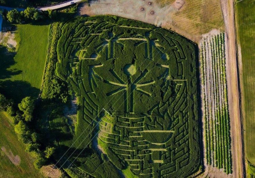 An aerial photo of a corn maze with the Special Olympics globe logo and a torch